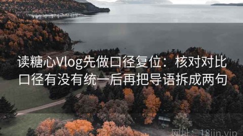 读糖心Vlog先做口径复位：核对对比口径有没有统一后再把导语拆成两句