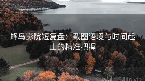 蜂鸟影院短复盘：截图语境与时间起止的精准把握