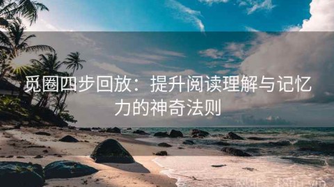 觅圈四步回放：提升阅读理解与记忆力的神奇法则