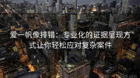 爱一帆像排错：专业化的证据呈现方式让你轻松应对复杂案件