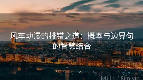 风车动漫的排错之道：概率与边界句的智慧结合