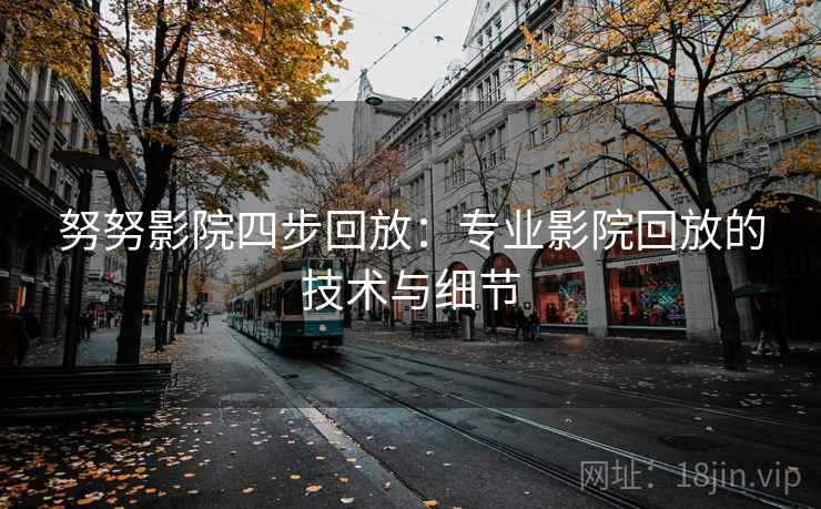 努努影院四步回放：专业影院回放的技术与细节