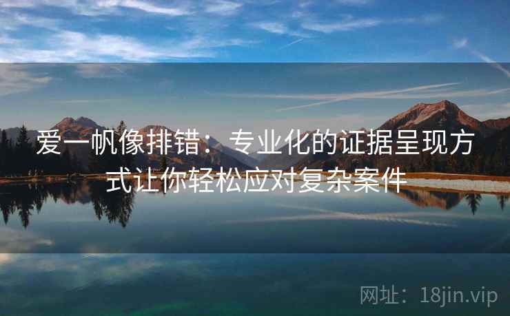 爱一帆像排错:专业化的证据呈现方式让你轻松应对复杂案件 爱一帆像排错:专业化的证据呈现方式让你轻松应对复杂案件